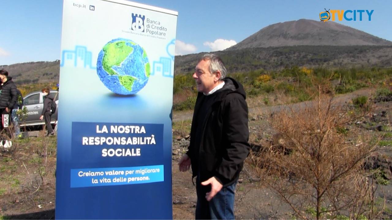 Piante nelle aree distrutte dagli incendi, l’impegno della Bcp per l’ambiente