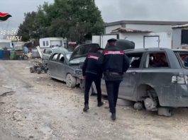 cani in condizioni precarie carabinieri