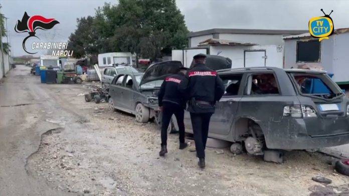 cani in condizioni precarie carabinieri