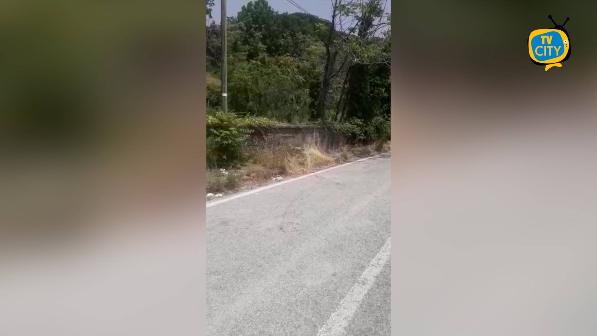 Via Montedoro, strada dimenticata oltre Traversa Garzilli: la video-denuncia