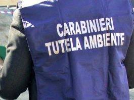 normative ambientali denunciato imprenditore