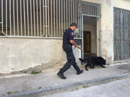 controlli carabinieri