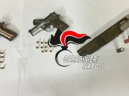 Operazione "Green Life