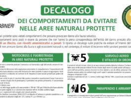 carabinieri forestali decalogo