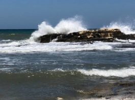 Gesto altruista da parte di una cittadina di Torre del Greco mare