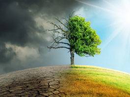 cambiamenti climatici