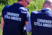 sicurezza ambientale carabinieri