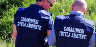 sicurezza ambientale carabinieri