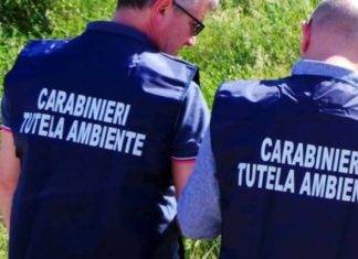 sicurezza ambientale carabinieri