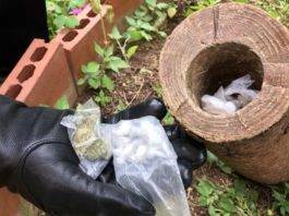 pusher "green" tronco