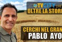 la storia oltre la storia cerchi nel grano