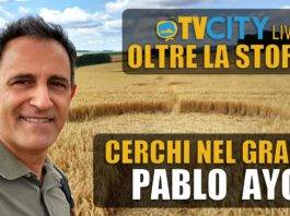 la storia oltre la storia cerchi nel grano