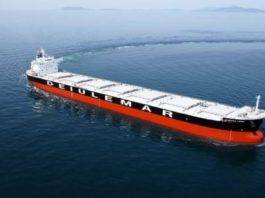 deiulemar obbligazionisti assegni