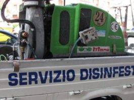 disinfestazione insetti torre del greco
