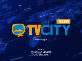tvcity flash news