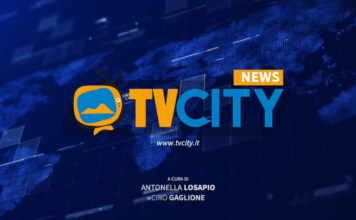 tvcity flash news