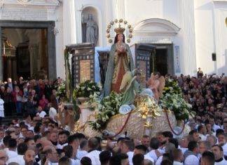 carro dell'immacolata