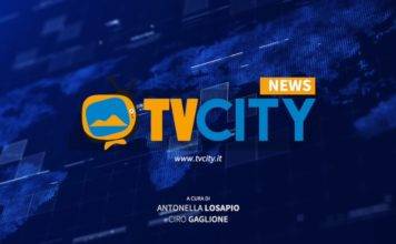 tvcity flash news