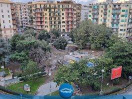 cocaina soldi piazza medaglie d'oro incensurato