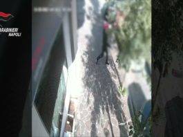 rapina donna gravidanza