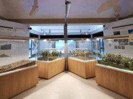 corso di formazione giornalisti vesuvio