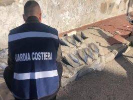 torre del greco guardia costiera pesca illegale