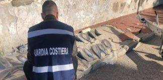 torre del greco guardia costiera pesca illegale