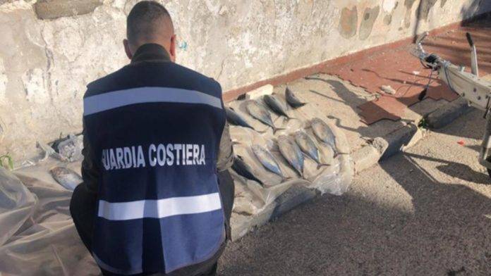 torre del greco guardia costiera pesca illegale