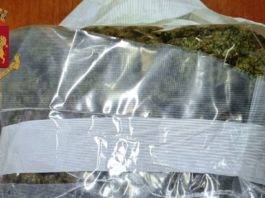 scappa polizia marijuana
