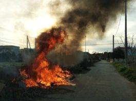 terra dei fuochi rogo tossico