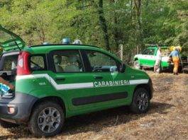 trasporto rifiuti mezzi non autorizzati