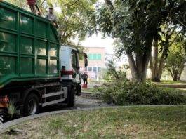 torre del greco alberi villa comunale