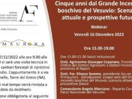 incendio del vesuvio