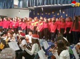 torre del greco don bosco d'assisi