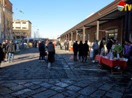 mercatorre christmas edition