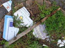 associazione primaurora