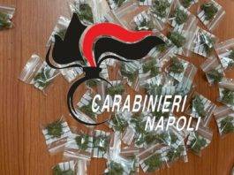 santa maria la carità pusher