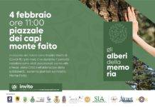 monte faito alberi della memoria