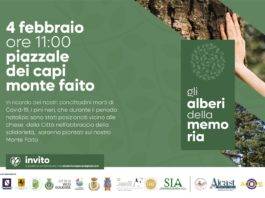 monte faito alberi della memoria