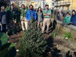 associazione primaurora