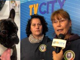 raccolta fondi sam corpo gav