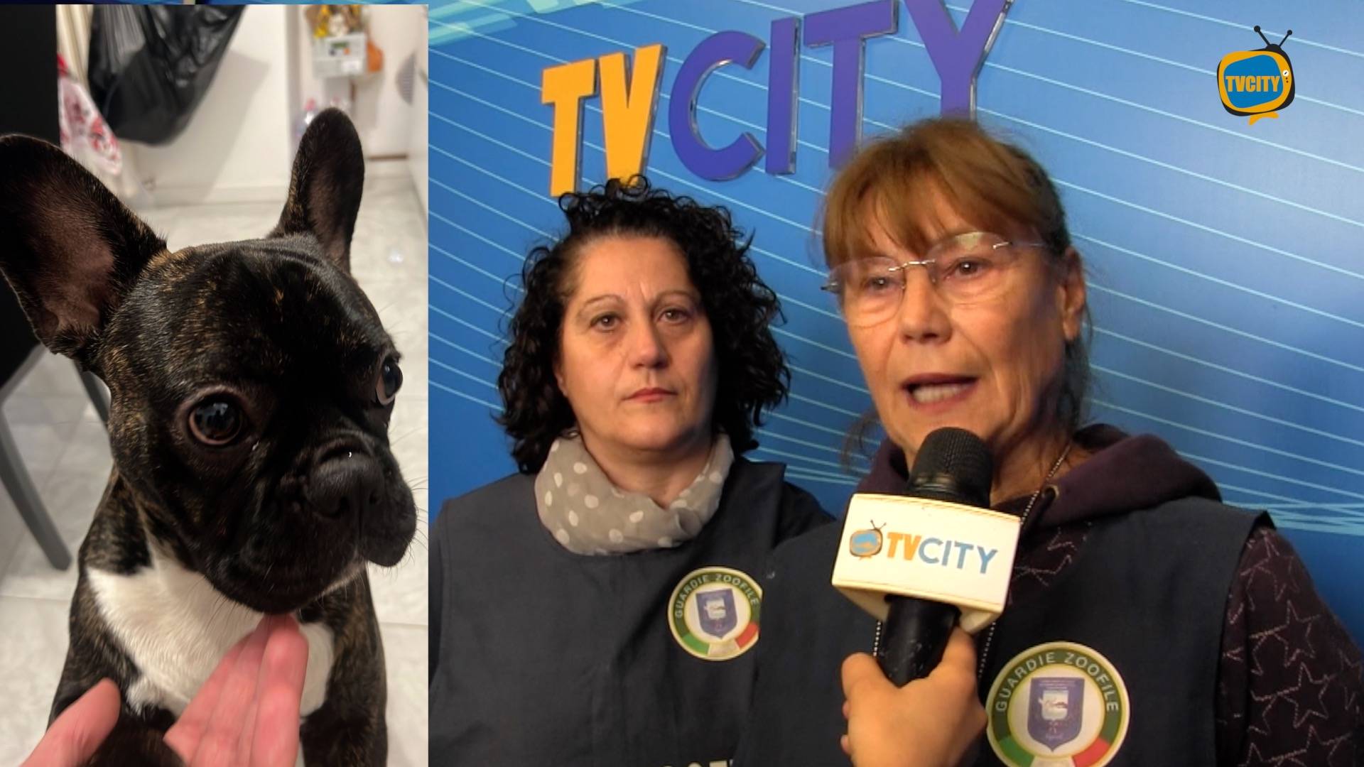 raccolta fondi sam corpo gav