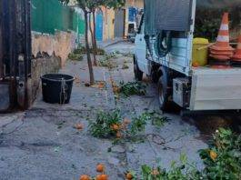 viale del gatto spazzamento