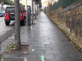 diservo viale aldo moro