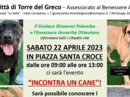 torre del greco cane