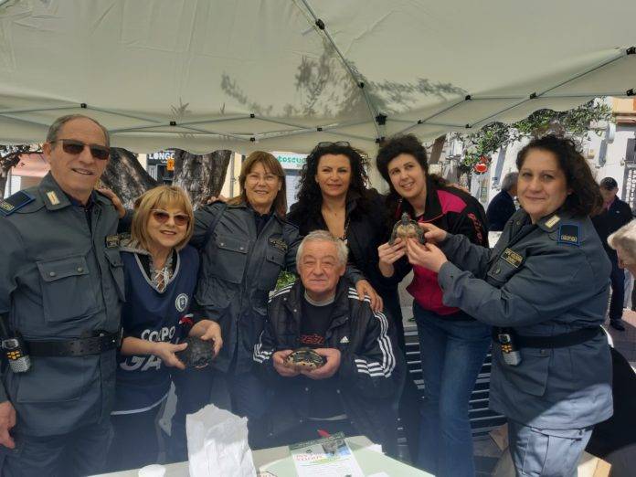 torre del greco incontra un cane