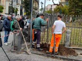 villa comunale lecci associazione primaurora