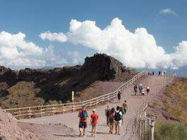biodiversità vesuvio