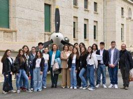 don bosco d'assisi aeronautica