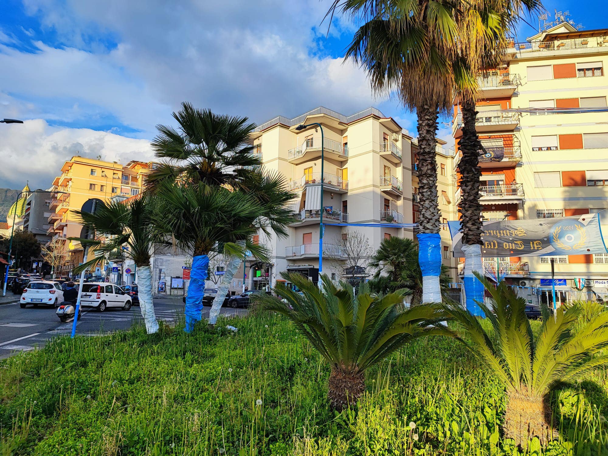 torre del greco università verde